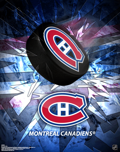 3D and Motion Lenticular NHL licensed artwork